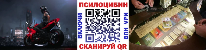 где можно купить   Дивногорск  Галлюциногенные грибы Psilocybe 